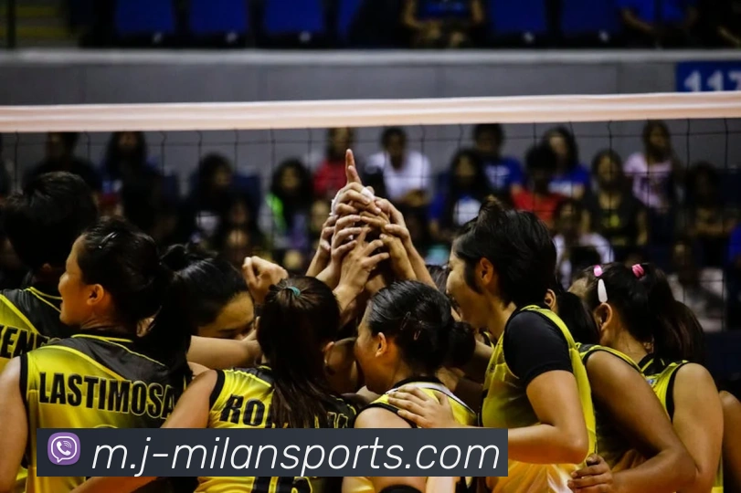 米兰体育APP 封面图